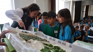 Antalya Büyükşehir’den Çocuklara İpekböceği Eğitimi