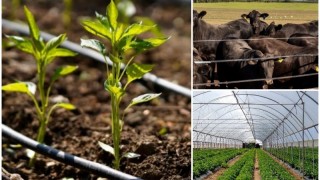 Bakan Yumaklı: Kırsal Kalkınma Hibe Başvuruları Uzatıldı