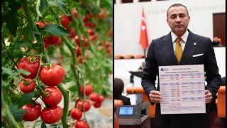 CHP'li Kaya TBMM'de uyardı: Kumluca'da çiftçi zarar ediyor