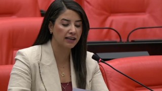 DEM Partili Dilan Kunt Ayan TMO Fiyatlarının Güncellenmesini İstedi