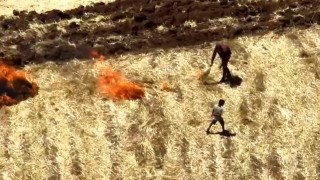 Dicle Elektrik: Viranşehir'de 29 Kaçak Trafo Tespit Edildi