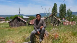 Kıbrıscık pirincinin 300 yıllık tarihi Bolu'da canlanıyor