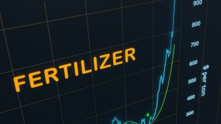 Reuters: Gübre Maliyetleri Brezilya Çiftçisinin Avantajını Bitirdi