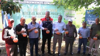 Samsun İl Tarım Müdürlüğünden Üreticiye Akdeniz Meyve Sineği Tuzağı