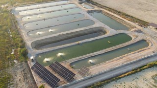 TÜİK: 2025 yılında su ürünleri üretimi yüzde 11,1 artarak 1 milyon tonu aştı