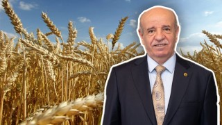 TUSAF Başkanı Çakmak: TMO alım fiyatı dengeli, hasat yüksek olacak