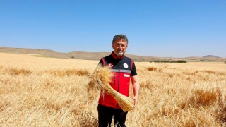 Bakan Yumaklı: Hububat Alımı 8,3 Milyon Tona Ulaştı
