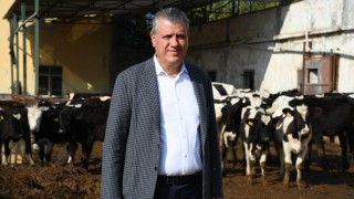 CHP'li Barut: Çiğ süt fiyatı üreticiyi mağdur ediyor