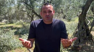 Erdek Ziraat Odası Başkanı Mustafa Saçıl: Bazı Zeytinliklerde Hasar %100'e Ulaştı