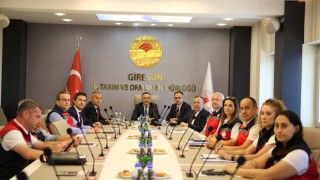 Giresun'da B-Reçete ve kahverengi kokarca masaya yatırıldı