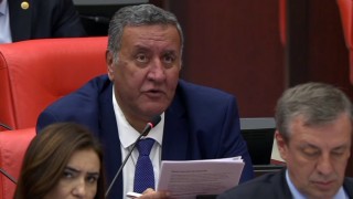 Gürer: Ayçiçeğinde üretici desteklenmeli