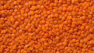 IGC: Dünya mercimek üretimi 9,4 milyon tona inecek