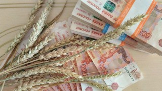 Kazakistan'da buğday fiyatları yükselişini sürdürüyor