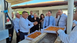Kuru Meyve Sektör Kurulu Malatya'da kayısı için yol haritası belirledi