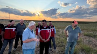 Mehmet Aksoy: Çekirge Mücadelesi Aralıksız Sürüyor