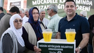 Mersin Büyükşehir 2 bin 700 üreticiye feromon tuzağı dağıtacak