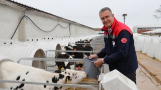 Samsun İl Tarım: Kırsal kalkınma başvuruları %62 arttı