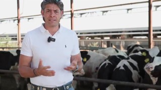 Sencer Solakoğlu: "Bizim Suçumuz İl Müdürlüğünün Dediğini Yapmak mı?"
