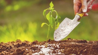 StoneX: Küresel gübre piyasasında belirsizlik azalabilir