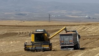 TMO: 12,2 Milyar Lira Hububat Ödemesini Hesaplara Aktardı