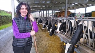 Agromuralla: Galiçya’da süt fiyatları maliyetleri karşılamıyor