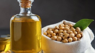 Arjantin'de soya yağı ihracatı haziranda rekor kırdı
