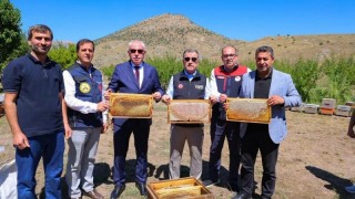 Bayburt’ta 430 kovanda bal sağımı gerçekleştirildi