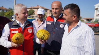 Çankırı Kızılırmak’ta Kavun Hasadı Başladı