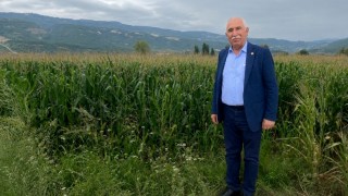 CHP Tokat Milletvekili Durmaz: Mısır fiyatı 17 TL olmalı