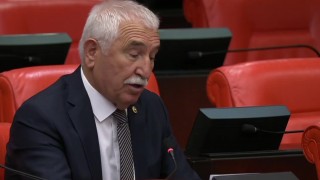 CHP'li Durmaz'dan orman yangınlarıyla mücadele eleştirisi