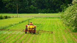 CropLife Europe: AB'de 93 pestisit etken maddesi yasaklandı