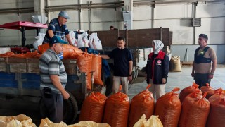 Düzce’de TMO fındık alım sezonuna kilosu 255 liradan almaya başladı