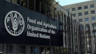 FAO: Dünya gıda fiyat endeksi temmuzda yüzde 0,6 yükseldi