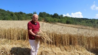 Güler: “Üreticilerimizi tırpandan, oraktan kurtardık”