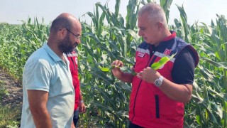 Hatay Tarım Müdürü Türkmen Antakya’da üreticileri ziyaret etti