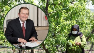 İsmail Kemaloğlu: Çiftçinin hasat işgücü sorunu büyüyor