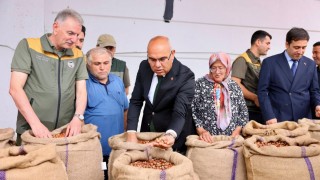 TMO, Giresun’da ilk fındığı 280,50 TL’den aldı