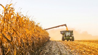 USDA Rusya’nın mısır rekorunu yükseltti, AB tahminini düşürdü