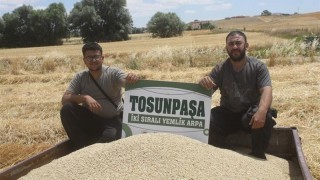 Yozgat’ta arpa denemelerinde dekara 760 kilo verim alındı