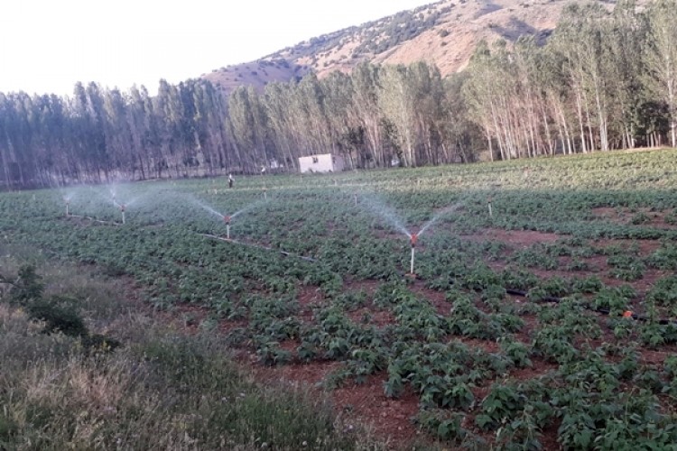 Gümüşhane ve Bayburt’ta Sulama Sezonu Başladı