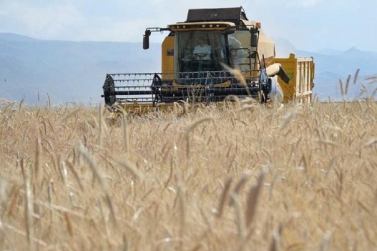 Tarım- ÜFE Eylül ayında Yüzde 1,59 arttı