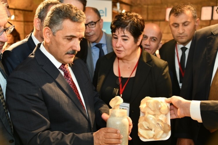 Samsun’da “Türkiye Yemeklik Mantar Kongresi” düzenlendi