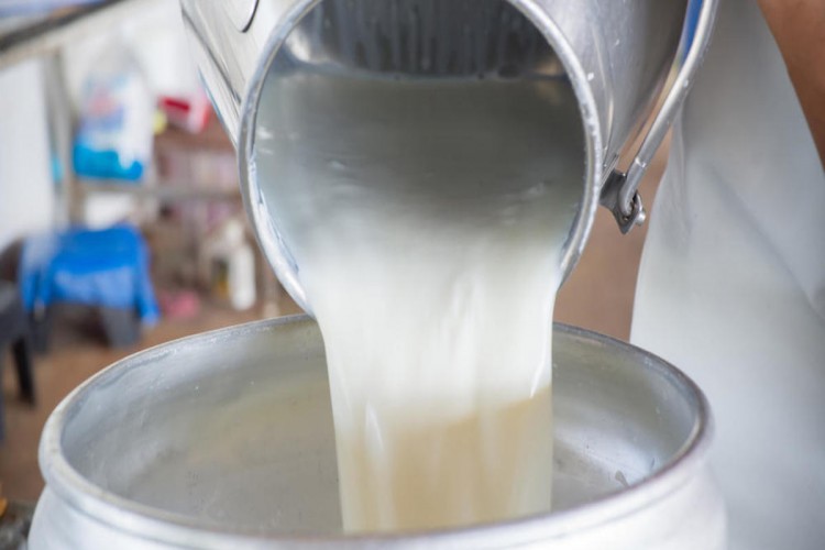 “Çiğ Süt Fiyatı Artışı Üretici Maliyetini Karşılamıyor.”