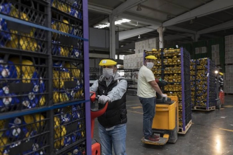 Mersin Büyükşehir Belediyesi, Limon Üreticisine Desteğe Devam Ediyor