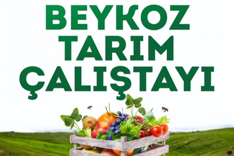 Arıcılıktan Tıbbi Ve Aromatik Bitkilere Beykoz Tarım Çalıştayı Başlıyor