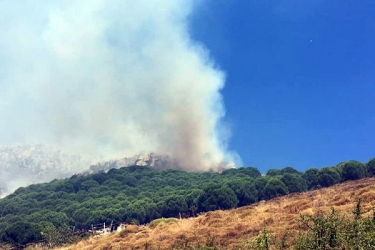 Marmara Adası Yangını Kontrol Altında