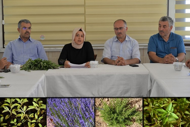 Kayseri'de Tıbbi ve Aromatik Bitki Yetiştiricileri Örgütleniyor