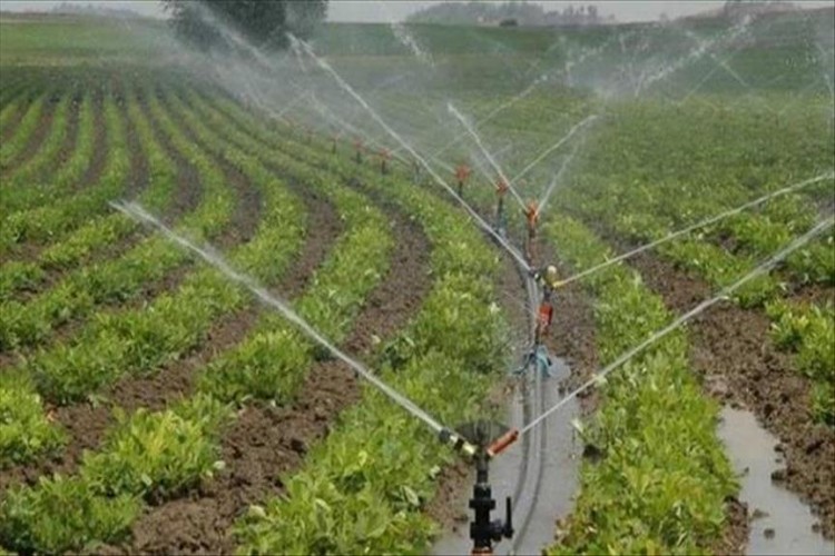 Dicle Elektrik'ten elektrik tasarrufu için tarımsal sulama araştırması