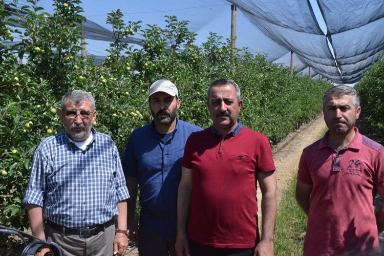 Niğde Elma Üretiminde Türkiye’de Olduğu Gibi Dünyada ’Da Söz Sahibi