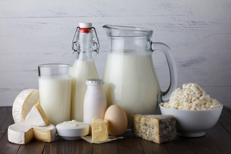 2019 Yılında Toplanan İnek Sütü Yüzde 4,7 Azaldı